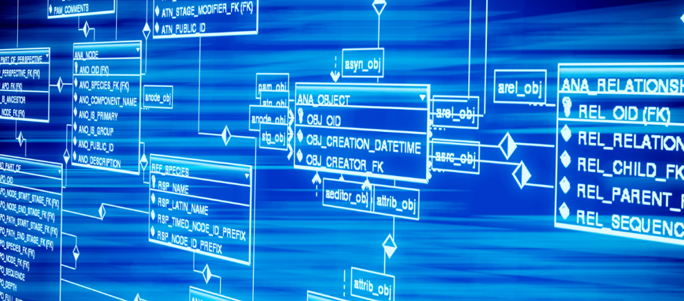多彩艺术添城市魅力!淄博,你好“墙”